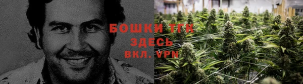 соль курить ск Белокуриха