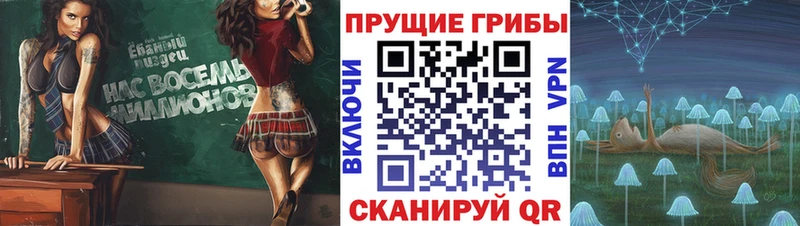 Псилоцибиновые грибы MAGIC MUSHROOMS  Севск 
